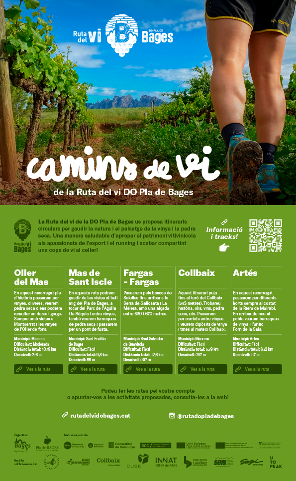 Camins de Vi